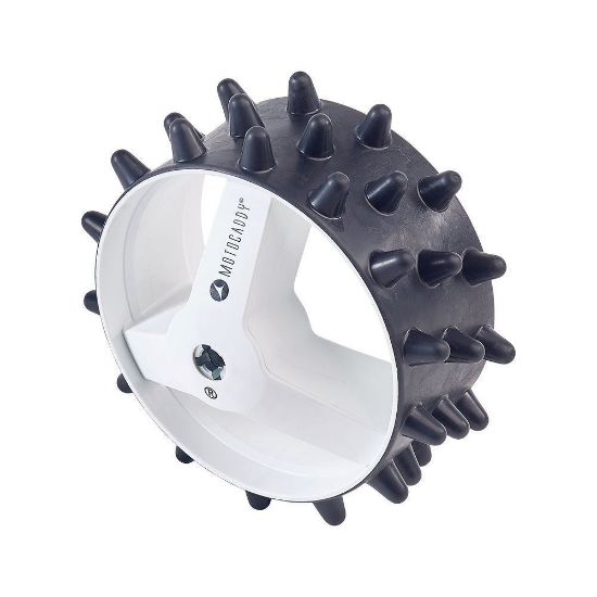 Picture of Hedgehog Motocaddy M-Series DHC Winter Wheels
