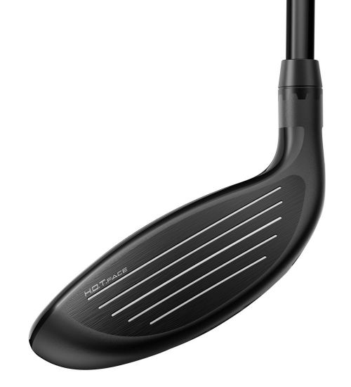 Picture of Cobra LTDx Golf Fairway